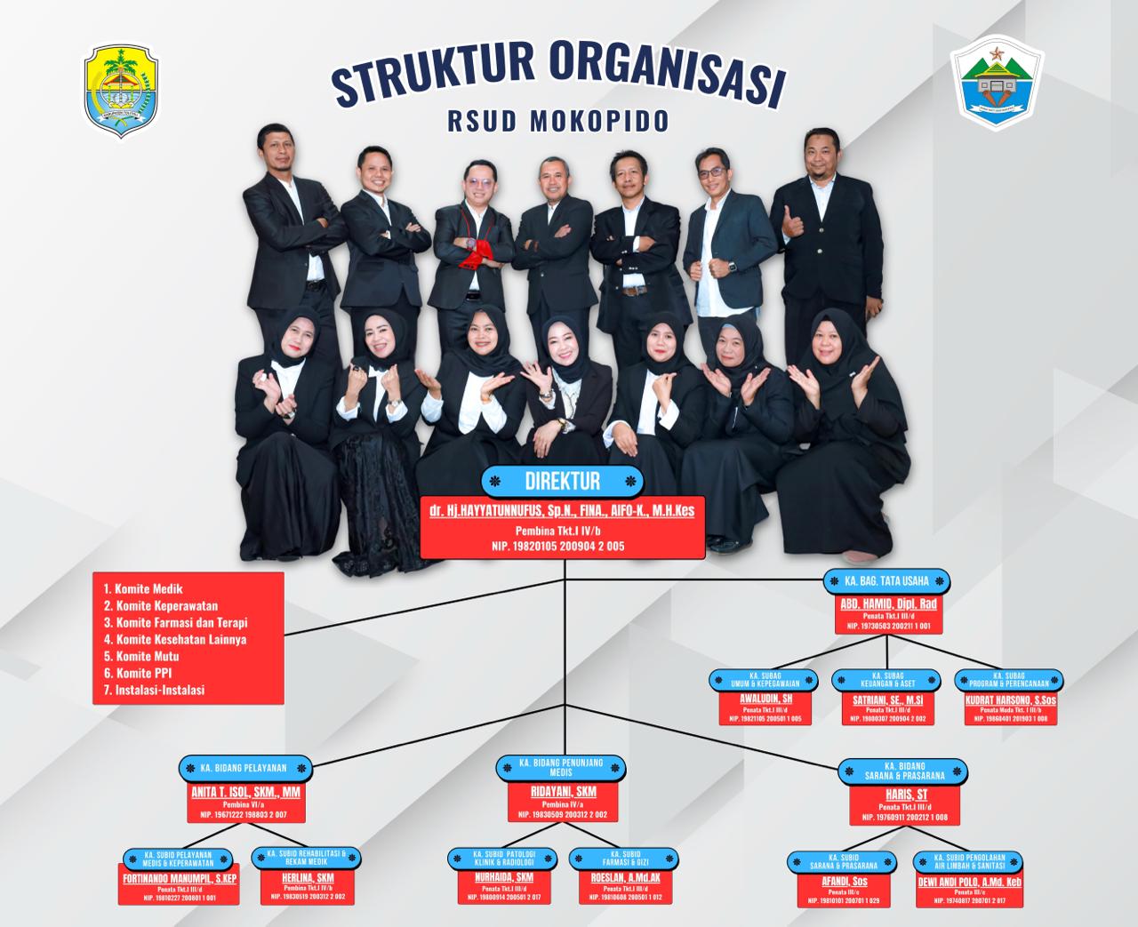 struktur-organisasi