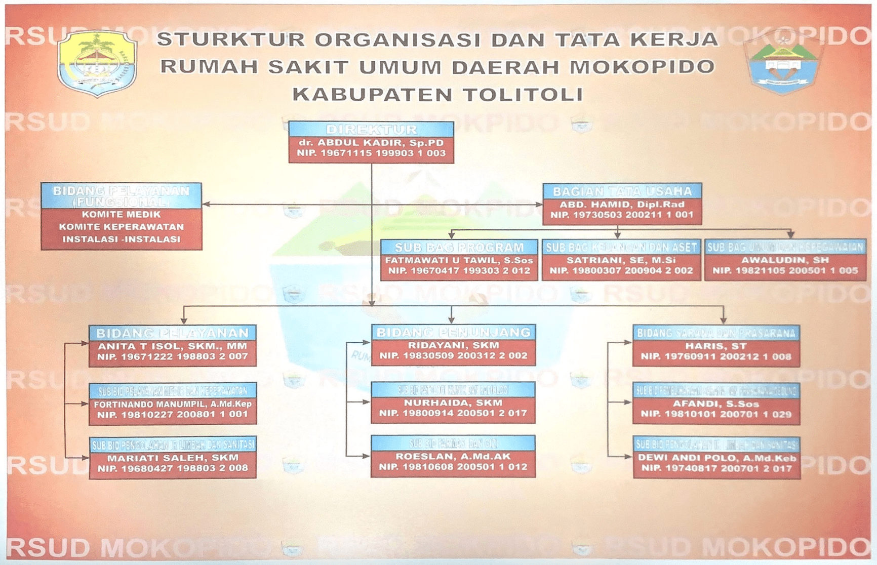 struktur-organisasi